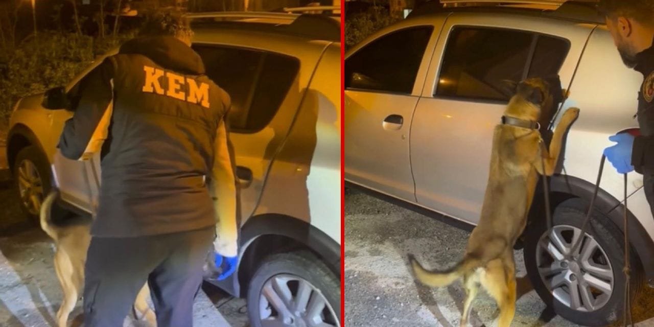 Aydın’da zehir tacirlerine operasyon: 2 kişi tutuklandı