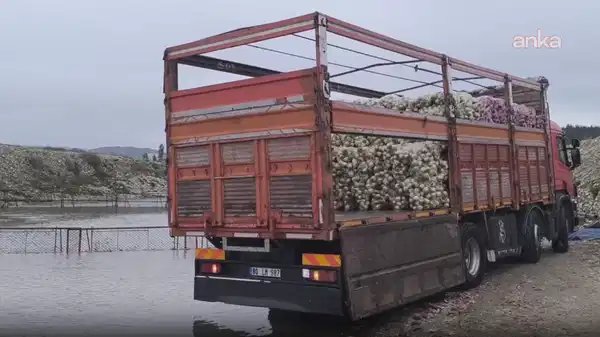 Nakliyeciler mazot zamlarından yakındı: ‘Mazot zammı bizi öldürdü’