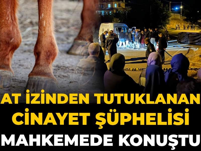 At izinden tutuklanan cinayet şüphelisi mahkemede konuştu