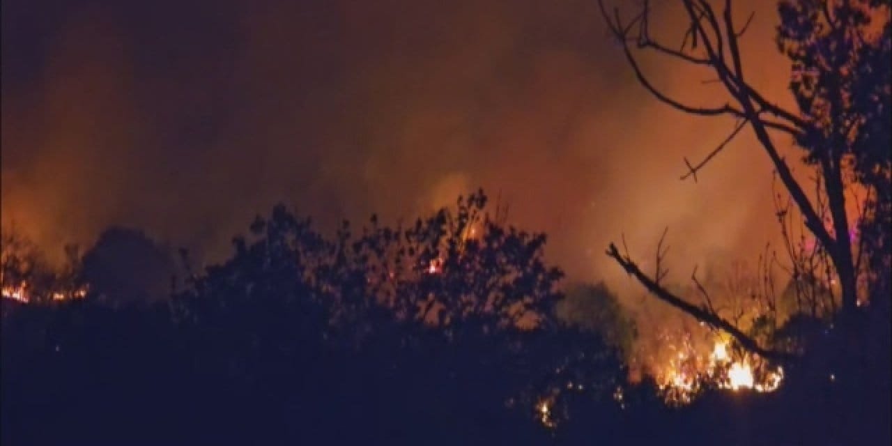 Beykoz’daki orman yangını kontrol altına alındı
