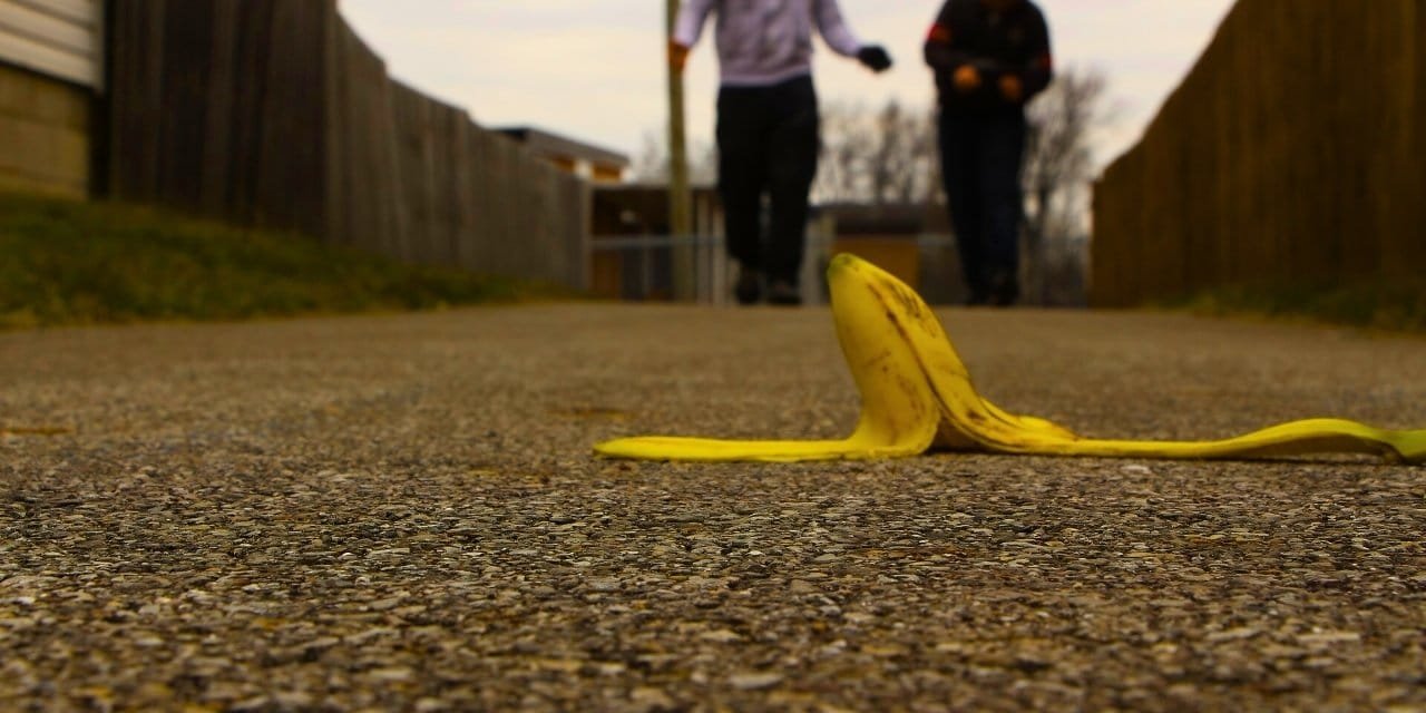 Çöp diye atıyorduk ama gübreleri solladı geçti: Bitkileri daha hızlı ve güçlü büyütüyor