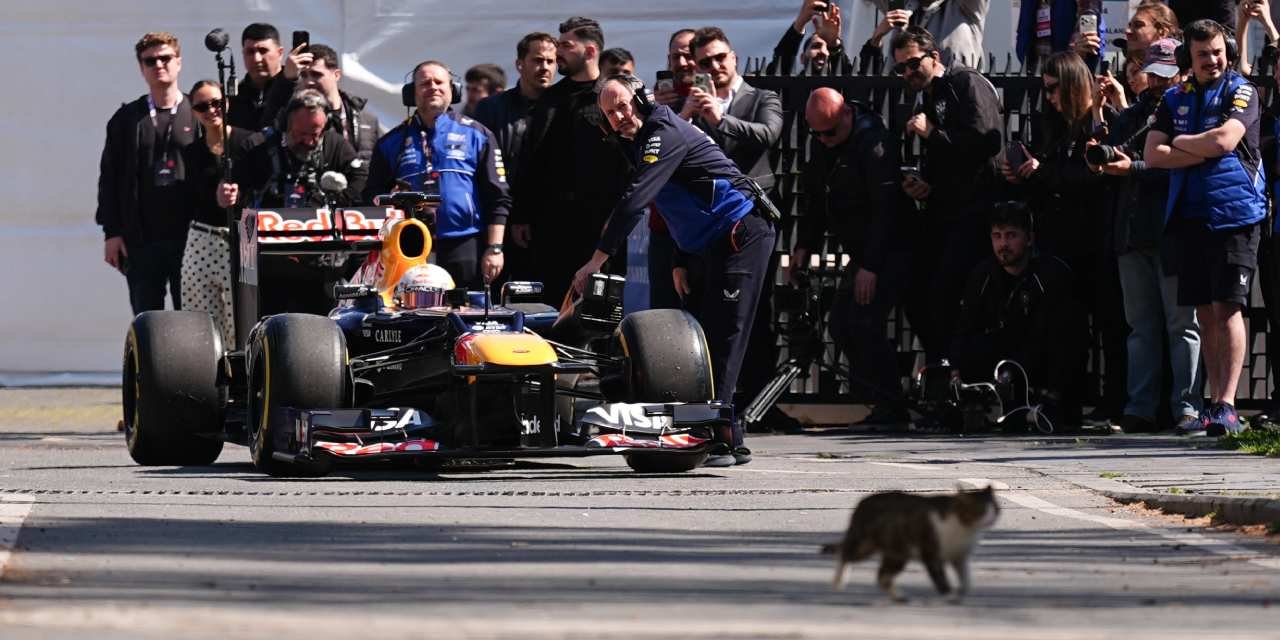 İstanbul’u dolaşan Formula 1 aracının startını kedi verdi!