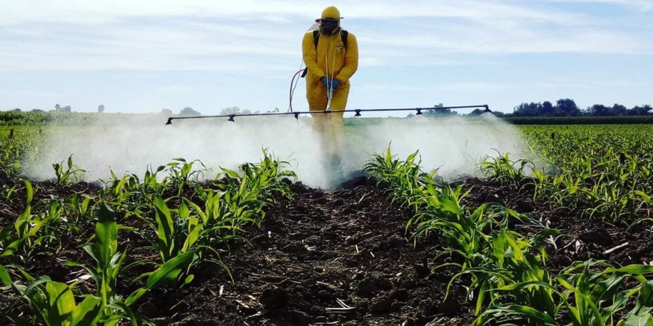 Pestisit maruziyeti büyüyür: Kanser riski yüzde 150’ye kadar yükseliyor