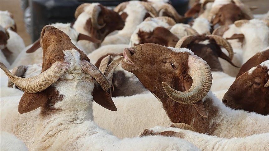 Bayram tatili ne zaman başlıyor? 9 günlük Kurban Bayramı tatili için geri sayım