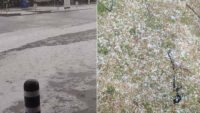 Çanakkale mayıs ortasında beyaza büründü
