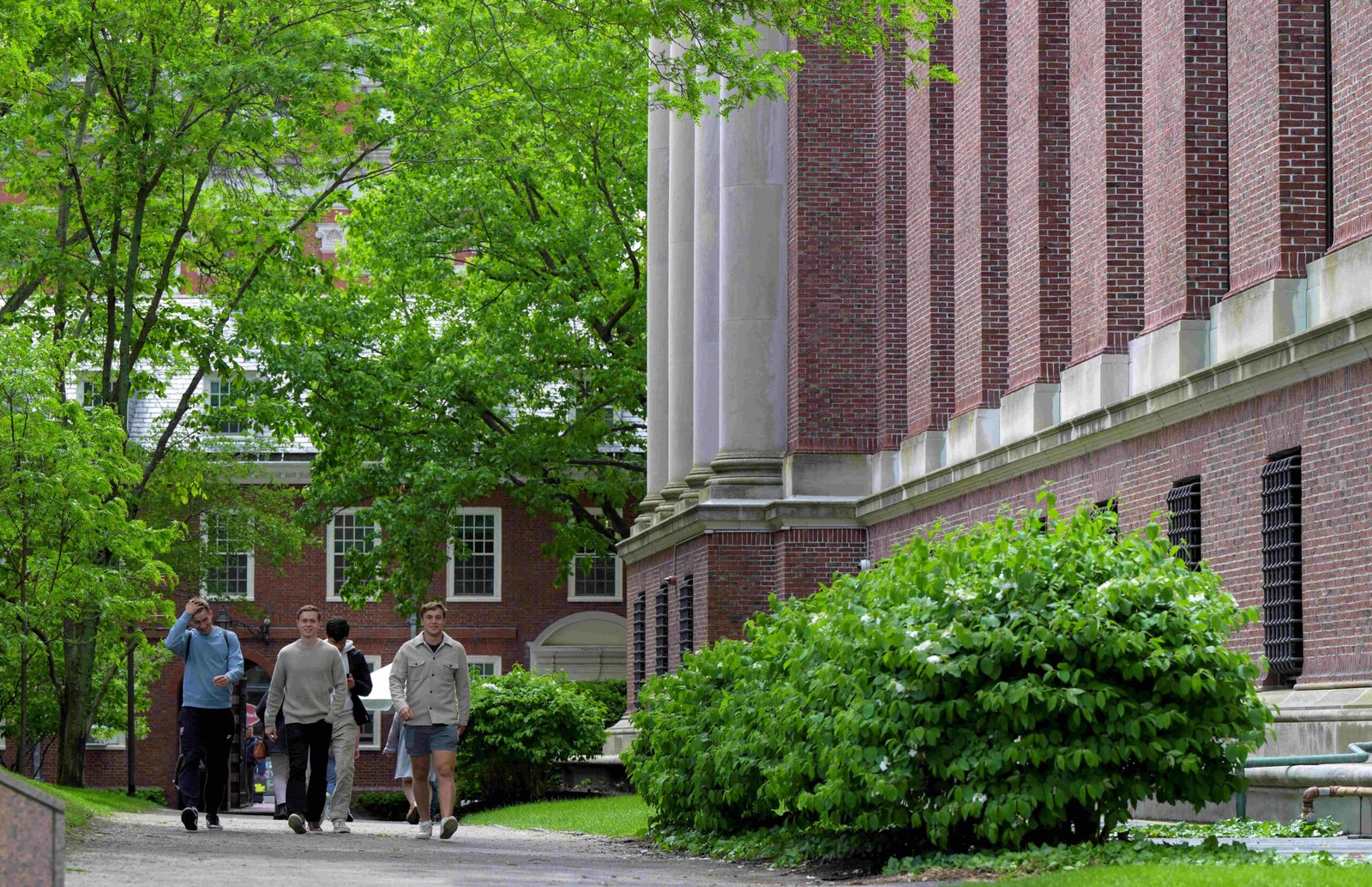 Harvard Üniversitesi, A notuna sınır getiriyor