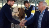 Kurban parasıyla masraf bitmiyor: Cepten çıkarken can yakacak