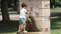 O il şaşırtmadı: Parklar doldu, termometreler 35 dereceyi gösterdi