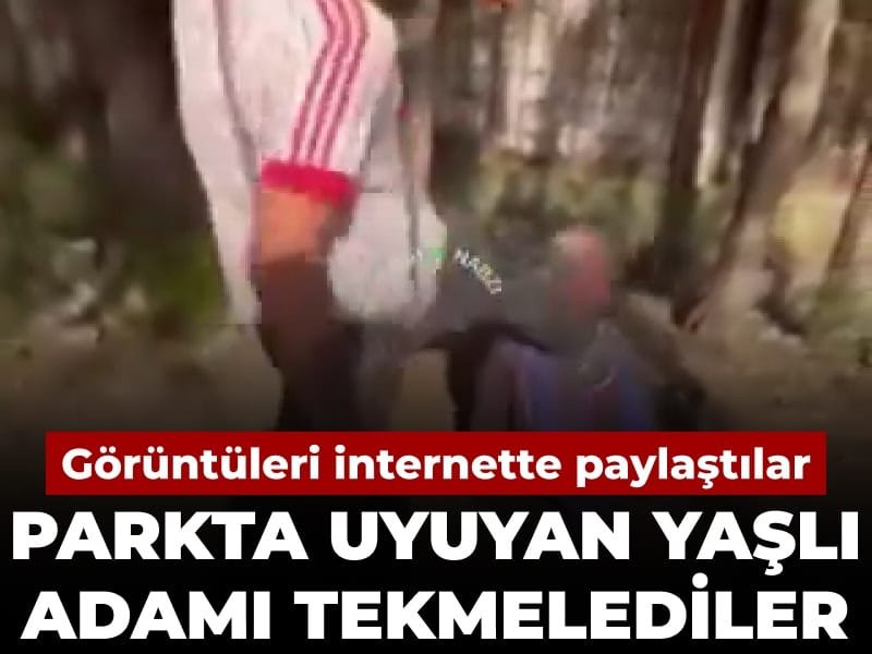 Parkta uyuyan yaşlı adamı tekmelediler: Görüntüleri internette paylaştılar